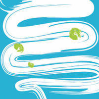 logo gastro Darmspiegelung
